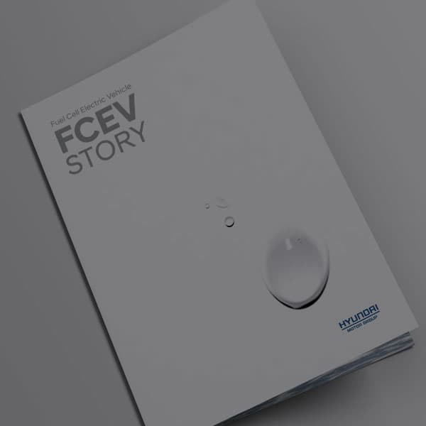 Fuel Cell Electric Vehicle FCEV Story